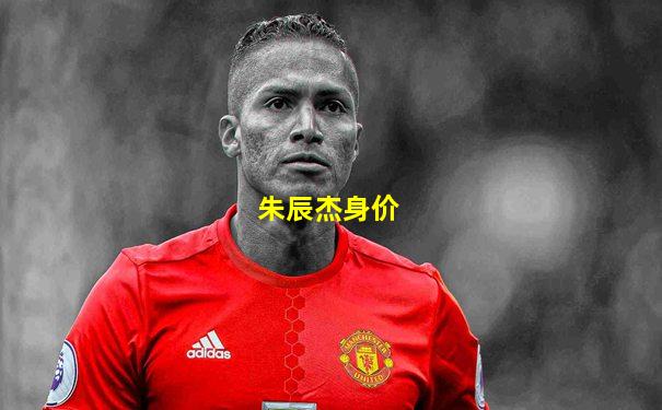 朱辰杰身价